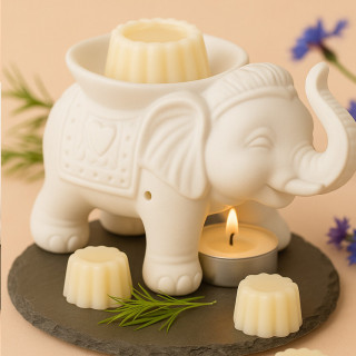 Cannelé Parfumé Brise Champêtre – Herbe Coupée