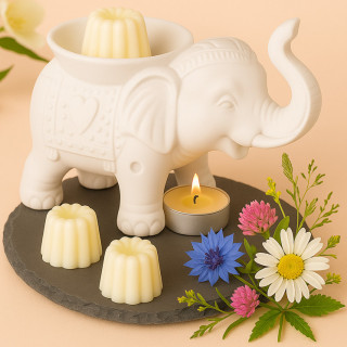CannelĂ© ParfumĂ© Instant ĂphĂ©mĂšre â ĂphĂ©mĂšre CannelĂ© ParfumĂ© Instant ĂphĂ©mĂšre â ĂphĂ©mĂšre