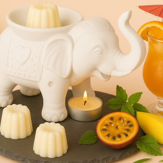 Cannelé Parfumé Jungle Pop – Pets de Singe